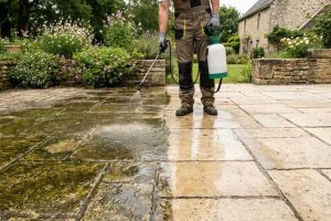 Paver surface after dirt and organic growth removal image